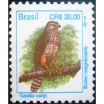 1994 R 0701 Gavião-carijó M