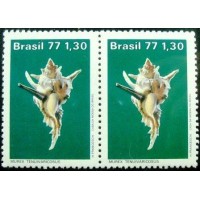 1977 C 0994 Murex Tenuivaricosus M PR