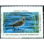 1990 Eskimo Curlew 1990 Eskimo Curlew
