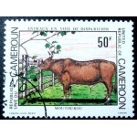 1981 African Forest Buffalo