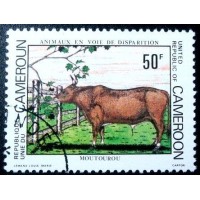 1981 African Forest Buffalo