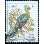 1987 Knysna Turaco