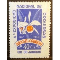 1946 C 0224 Orquídeas N