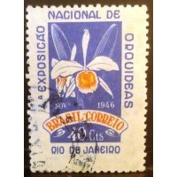 1946 C 0224 Orquídeas U