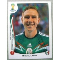 2014 0076 Miguel Layün
