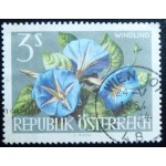 1964 AT 1149  Japanese Morning Glory U
