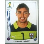 2014 0262 Fernando Muslera 2014 0262 Fernando Muslera