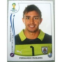 2014 0262 Fernando Muslera