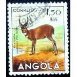 1953 AO 0375 Sitatunga or Marshbuck U