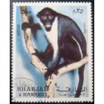 1972 AE SH 1013 Monkey A NCC