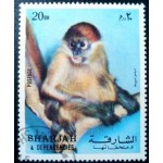 1972 AE SH 1012 Guenon A NCC