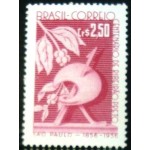 1957 C 0400 Ribeirão Preto M
