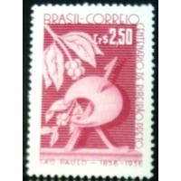 1957 C 0400 Ribeirão Preto M