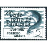 1967 C  0575 Rio de Piracicaba N
