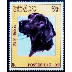 1987 Labrador Retriever 1987 Labrador Retriever