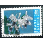 1971 C 0713Laelia MCC
