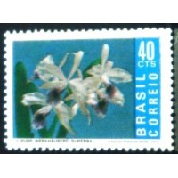 1971 C 0713 Laelia N