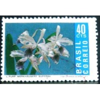 1971 C 0713 Laelia U