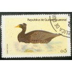 1978 Common Scoter 1978 Common Scoter