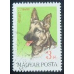1967 German Shepherd