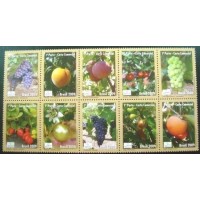 2009 BR C 2825 Circuito das Frutas M SET