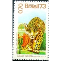 1973 C 0826 Onça e Espatódea M