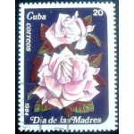 1984 Pink Roses