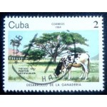 1984 Cattle 1984 Cattle