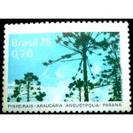 M 1975 C 0892 Pinheirais Araucária M 1975 C 0892 Pinheirais Araucária