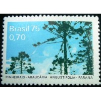 1975 C 0892  Pinheirais Araucária N