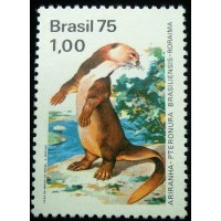 1975 C 0893 Ariranha M