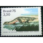 1975 c 0894 Jacaré do Pantanal M 1975 c 0894 Jacaré do Pantanal M