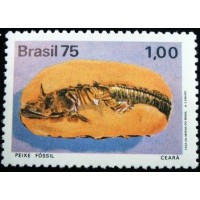 1975 C 0897 Peixe Fóssil M