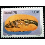 1975 C 0897 Peixe Fóssil CE N 1975 C 0897 Peixe Fóssil CE N