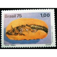 1975 C 0897 Peixe Fóssil CE N