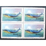 1977 C Baleia Azul M QD