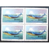 1977 C Baleia Azul M QD