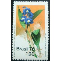 1976 C 0937 Orquídea N