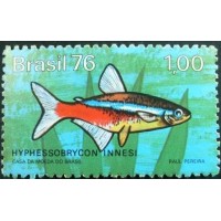 1976 C 0939 Hyphessobrycon M