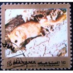 1972 AJ MN 0943 Mouse FaA U
