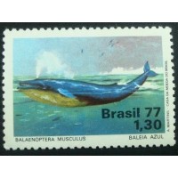 1977 C 0989 Baleia Azul N