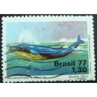 1977 C 0989  Baleia Azul M