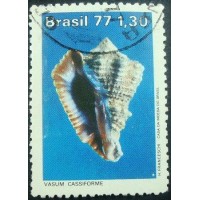 1977 C 0992 Vasum Cassiforme U