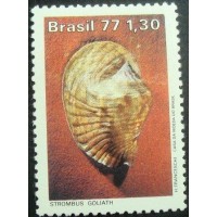 1977 C 0993 Strombus Goliath N