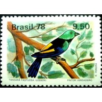 1978 C 1038 Tangará M