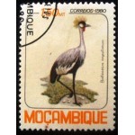 1980 Grey Crowned Crane 1980 Grey Crowned Crane
