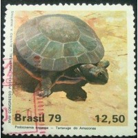 1979 C 1093 Tartaruga do Amazonas U