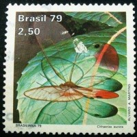 1979 C 1098 Cithaerias Aurora U