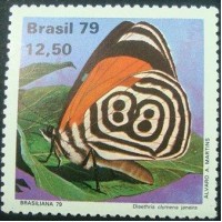 1979 C 1101 Diaethria Clymena Janeira N