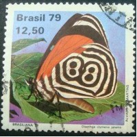 1979 C 1101 Diaethria Clymena Janeira U